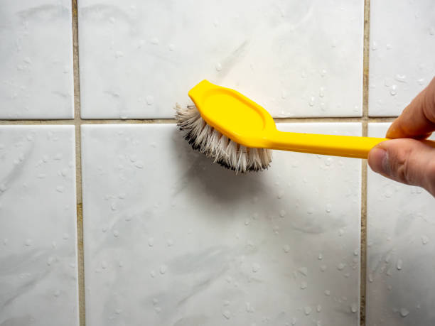 Best Best Mold Removal Companies  in Houston, AK