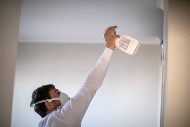 Best Mold Cleaning Services  in Houston, AK