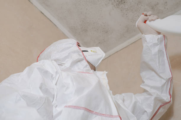 Best Attic Mold Removal  in Houston, AK