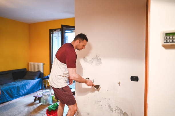 Reliable Houston, AK Mold Removal Solutions
