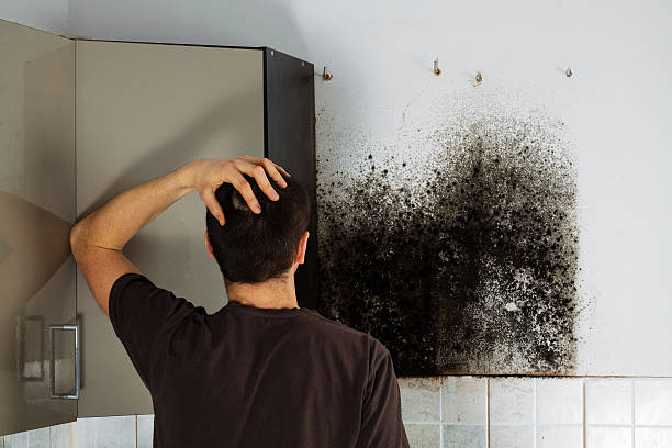 Crawl Space Mold Removal in Houston, AK